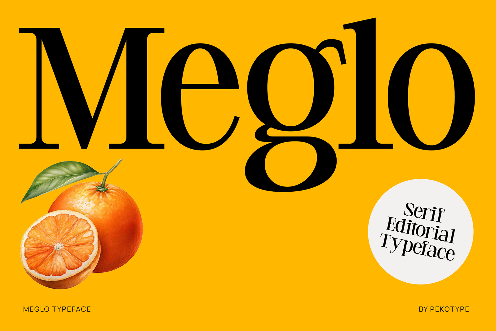 meglo font cover