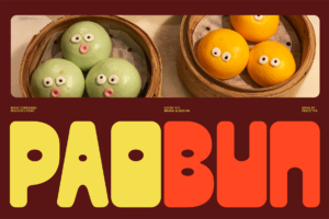 paobun font cover
