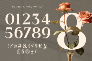 carsen font number and punctuation