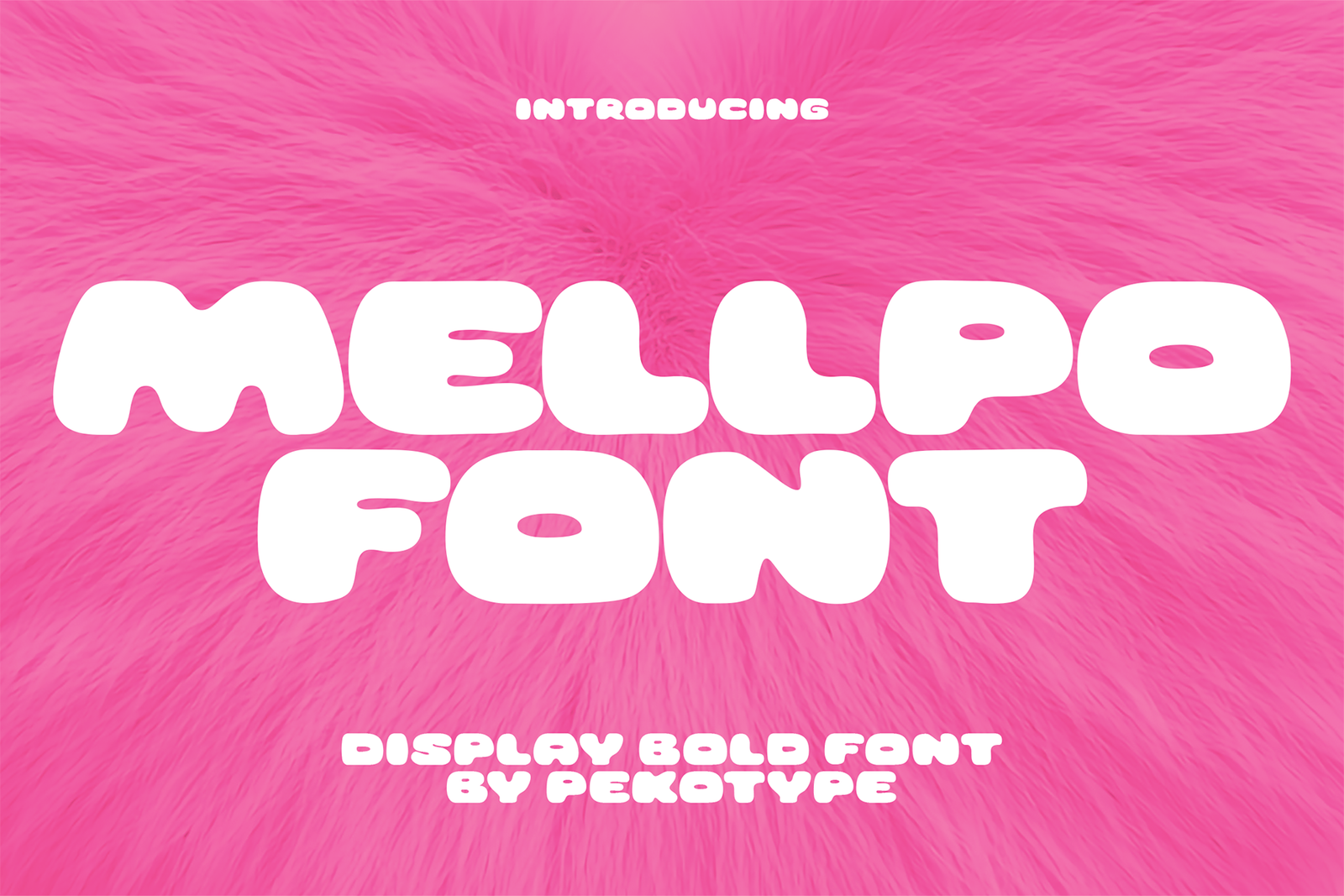 mellpo font cover