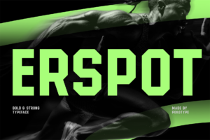 erspot font cover