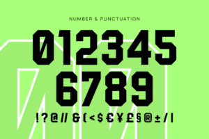 erspot font number and punctuation