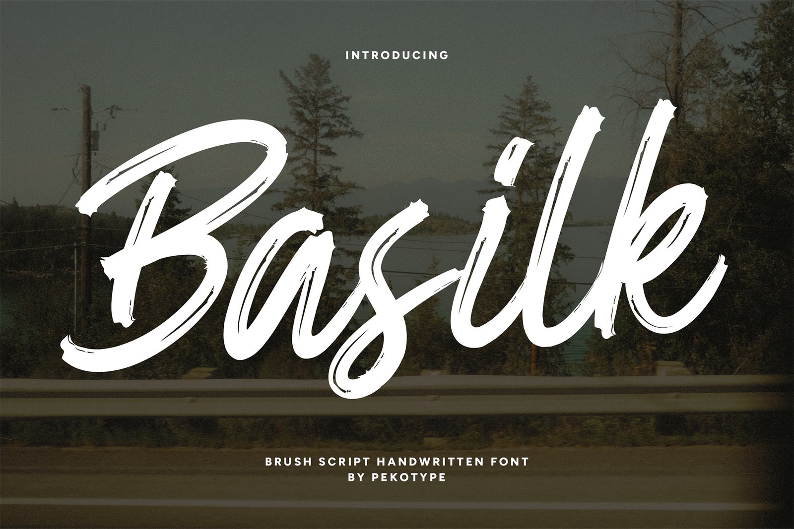 Basilk Font cover