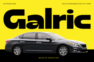 galric font cover
