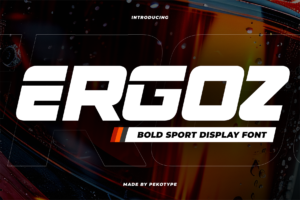 ergoz font cover