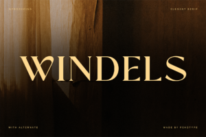 WINDELS Font cover