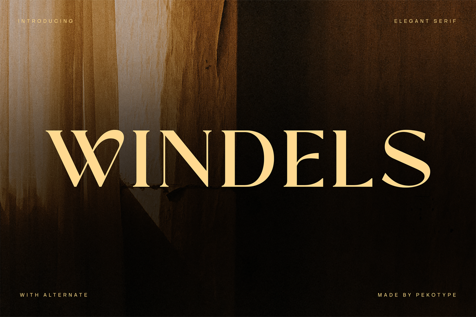 WINDELS Font cover