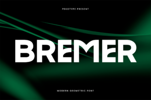 Bremer font cover