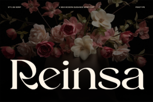 reinsa font cover
