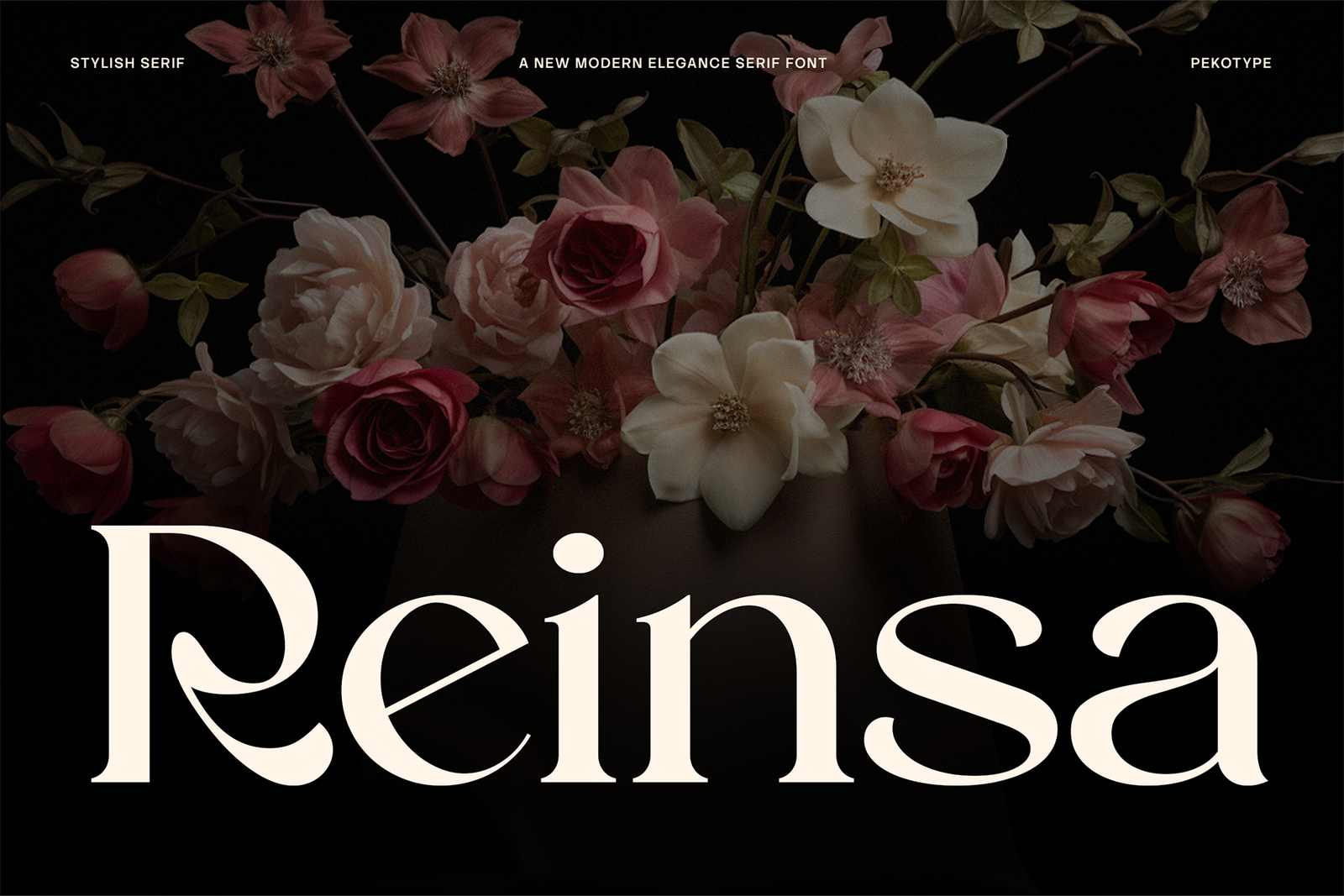 reinsa font cover