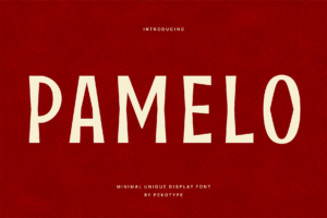 pamelo font cover