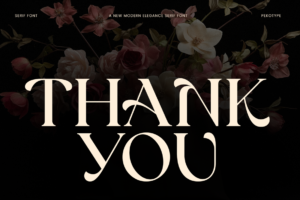 REINSA Font