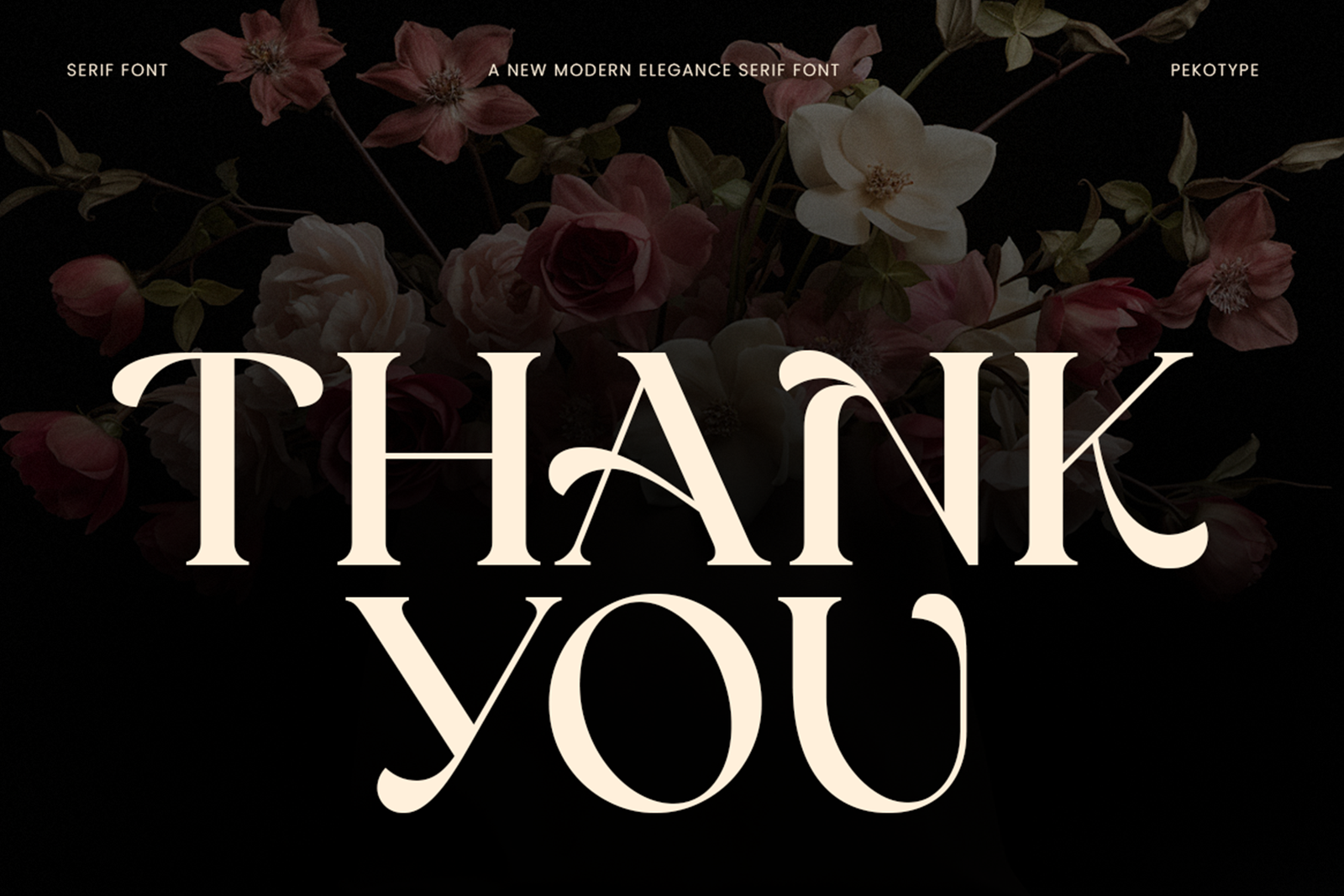 REINSA Font