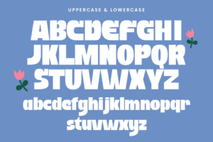 PURE MANGO Font uppercase and lowercase characters