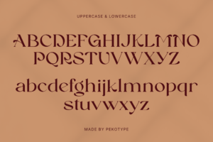 REINSA Font uppercase and lowercase characters