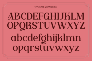 AIGOS Font – Classic Elegant Serif Display font preview