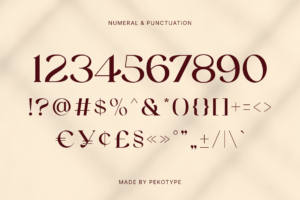 REINSA Font numbers symbols and punctuation