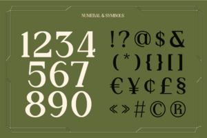 AIGOS Font – Classic Elegant Serif Display font preview