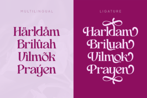 ASAH Font ligature character preview