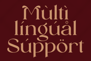 REINSA Font multilingual support