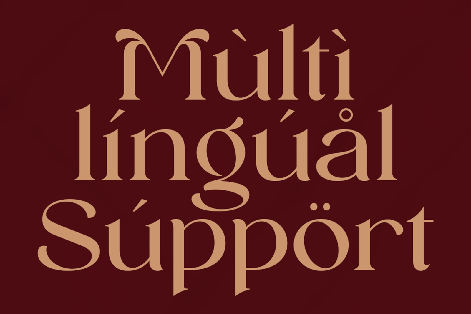 REINSA Font multilingual support