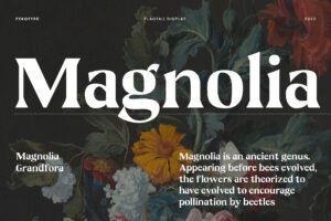 Flagtail Display Font Headline typography