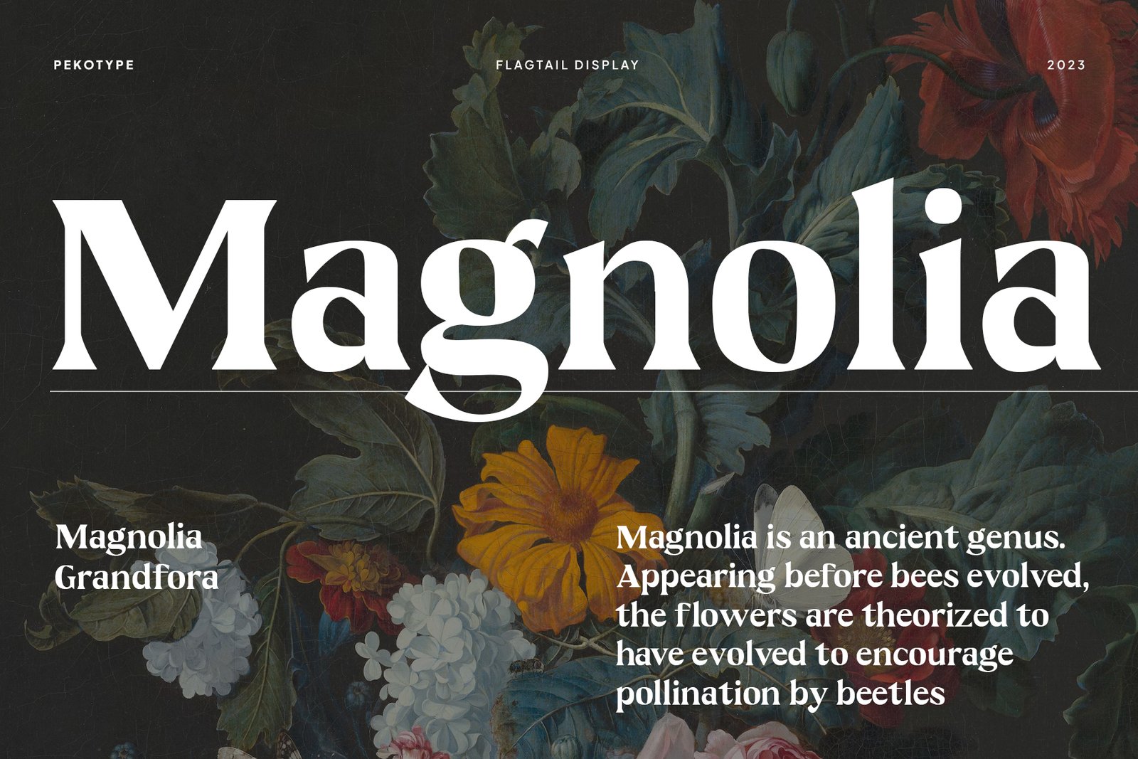 Flagtail Display Font Headline typography
