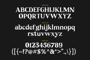 Flagtail Display Font uppercase and lowercase alphabet numbers punctuation and glyph specimen