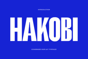 HAKOBI FONT COVER