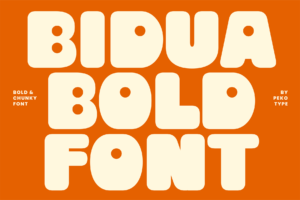 Bidua Font Cover