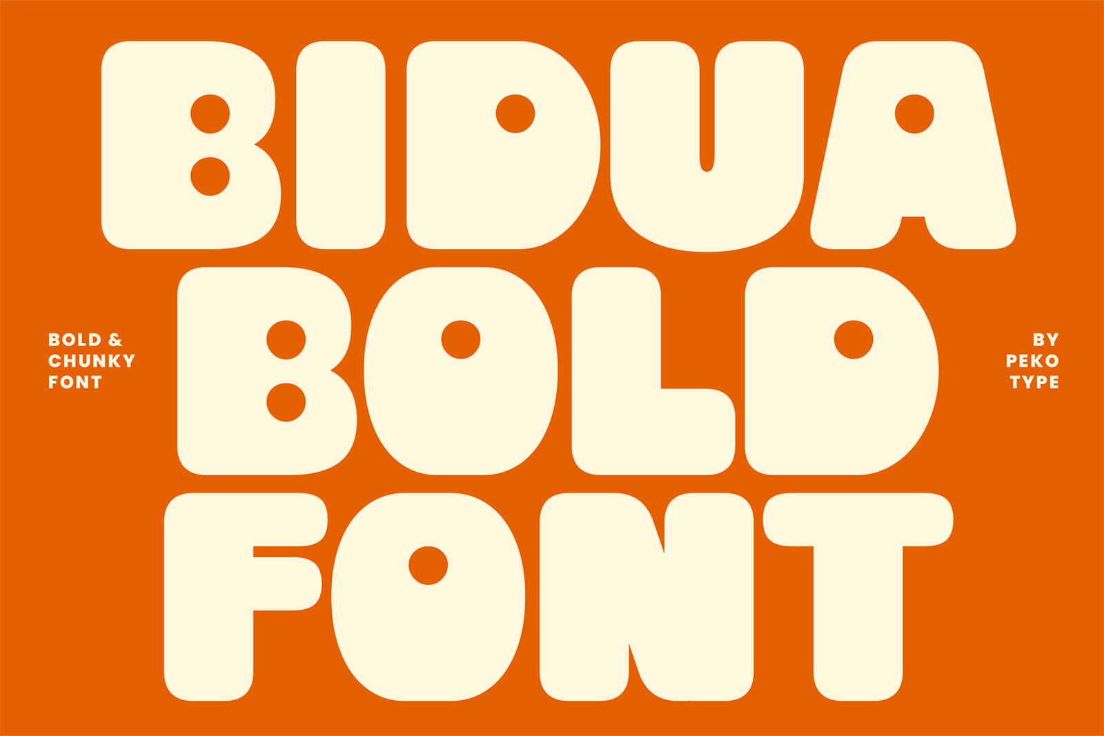Bidua Font Cover