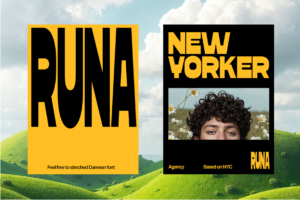 DAMEON Font Runa New Yorker editorial layout