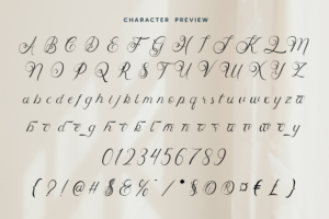 Skipten Font script alphabet numbers and punctuation specimen