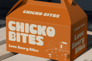 BIDUA Font packaging mockup