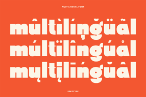 Swedis Font multilingual accented character support