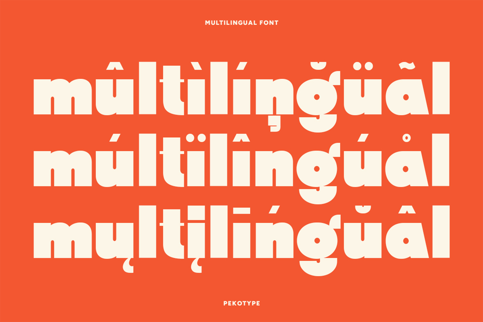Swedis Font multilingual accented character support