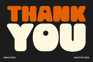 BIDUA Font thank you typography