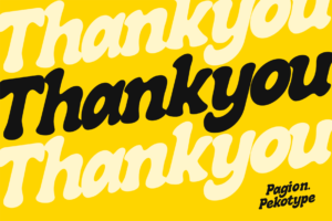 Pagion Font Thank You bold script typography