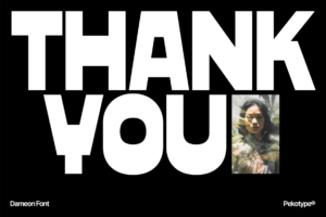 DAMEON Font thank you display artwork