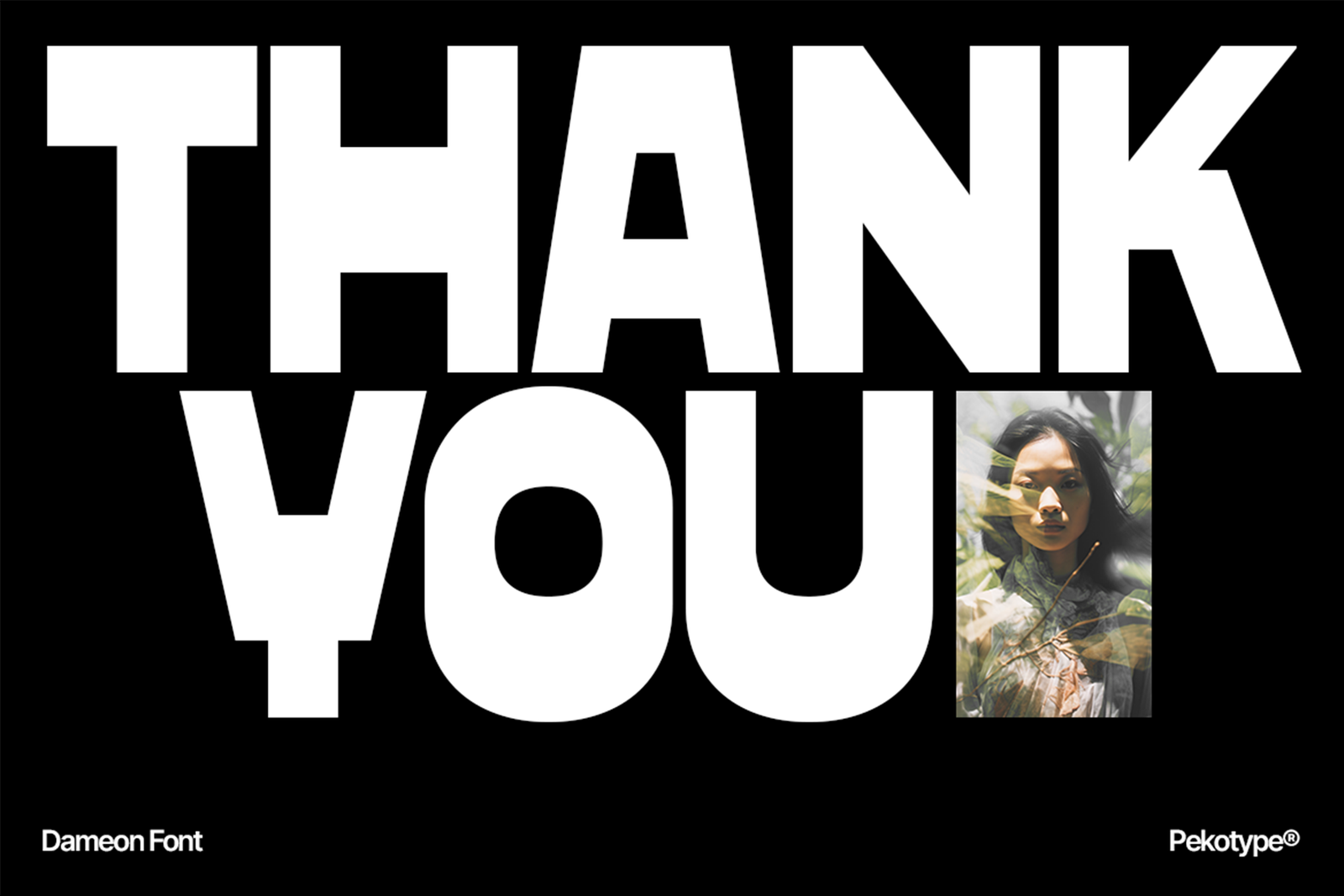 DAMEON Font thank you display artwork
