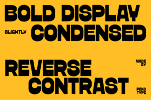 DAMEON Font bold condensed typography specimen