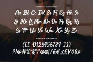 SAVEL Font uppercase and lowercase characters, SAVEL Font numbers symbols and punctuation