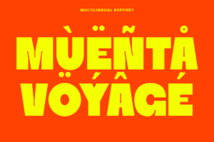 RUYA Font multilingual character support