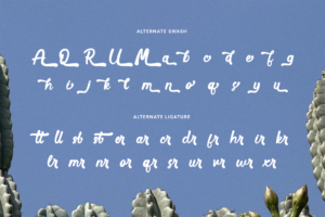 Savel font alternate swash and ligature