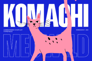 HAKOBI Font cat-themed condensed typography design