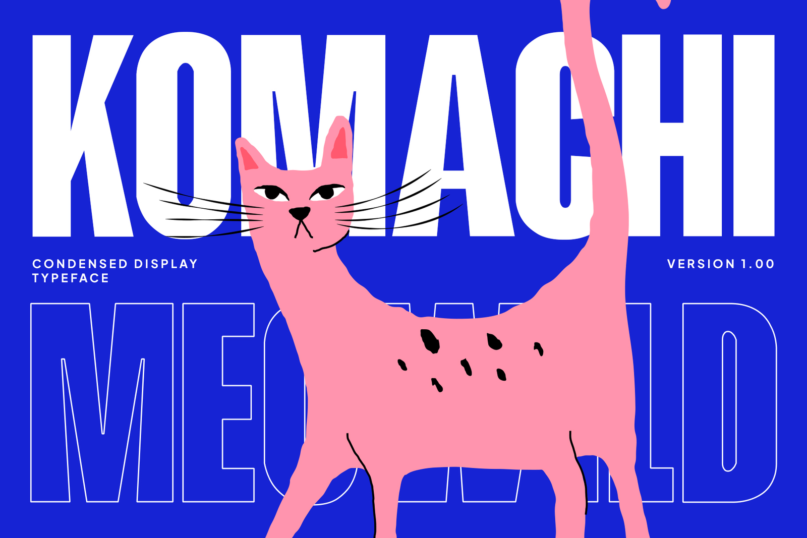 HAKOBI Font cat-themed condensed typography design