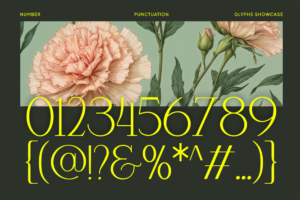 Mikaelo Font numbers punctuation and decorative glyph specimen