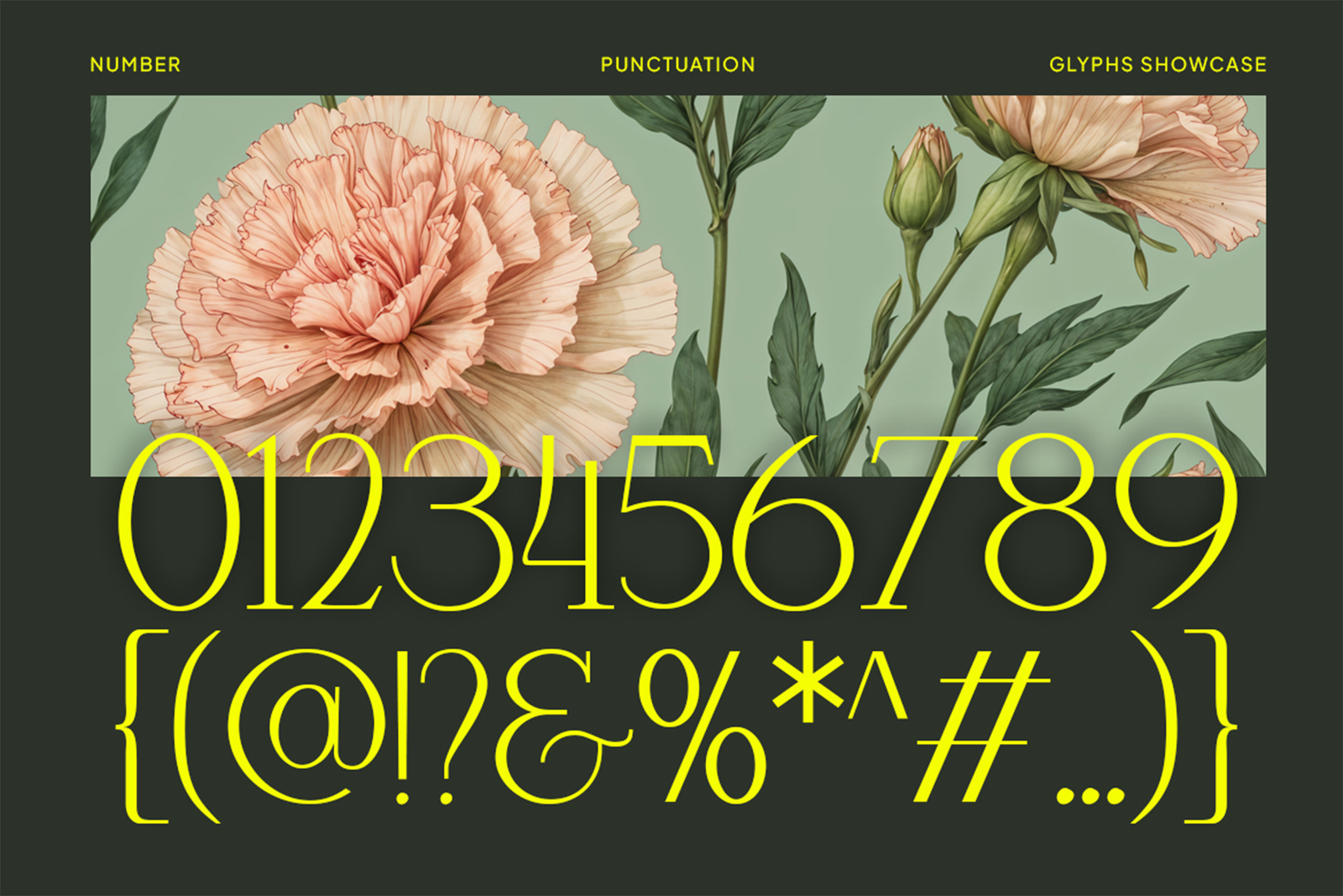 Mikaelo Font numbers punctuation and decorative glyph specimen