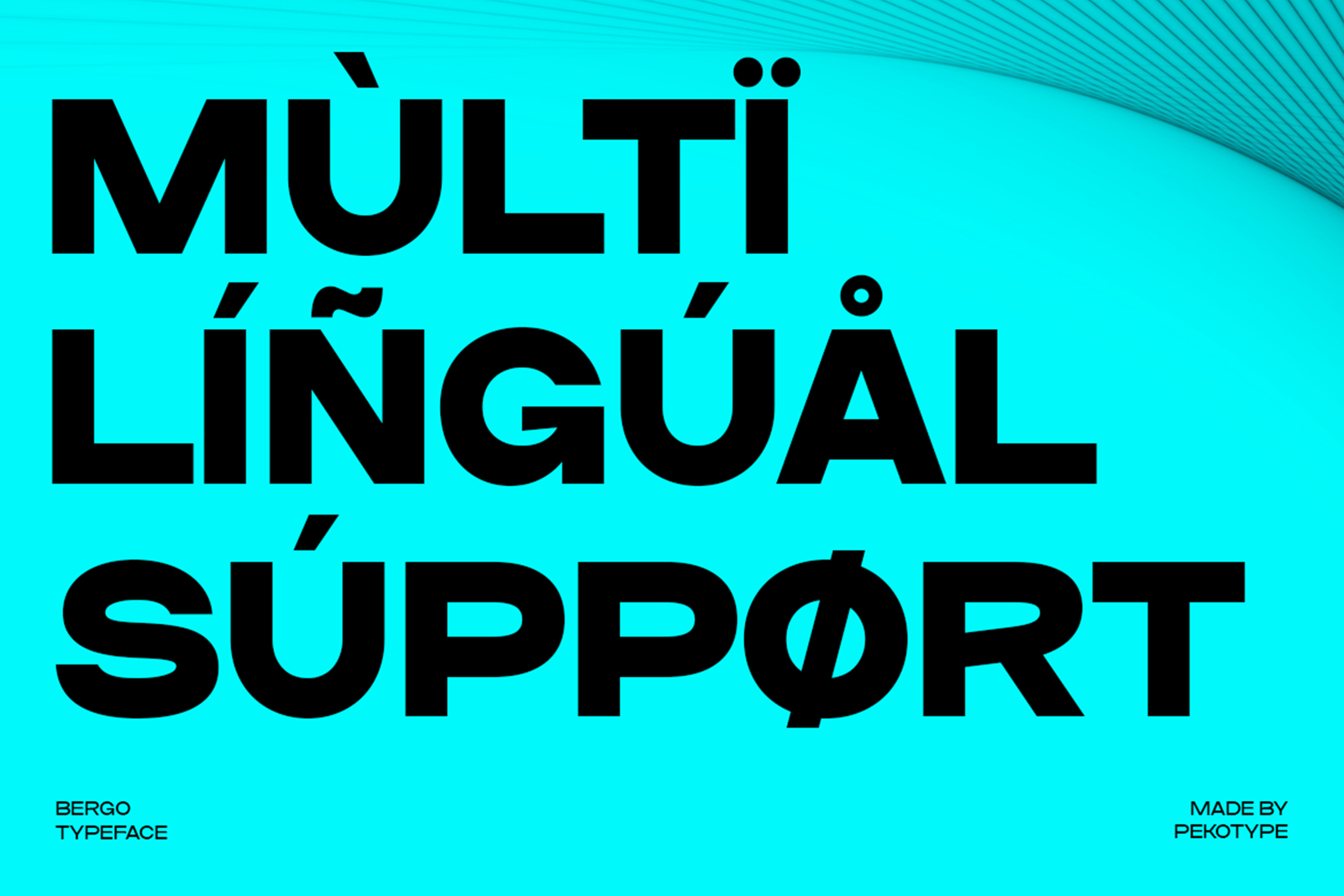Bergo Font multilingual character support preview