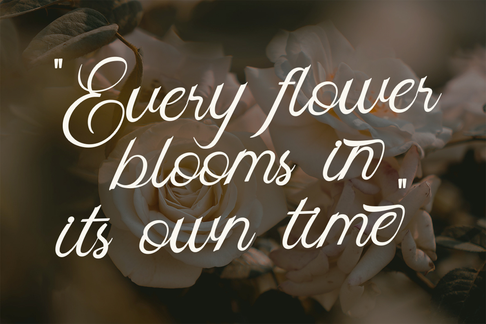 Skipten Font romantic floral quote artwork